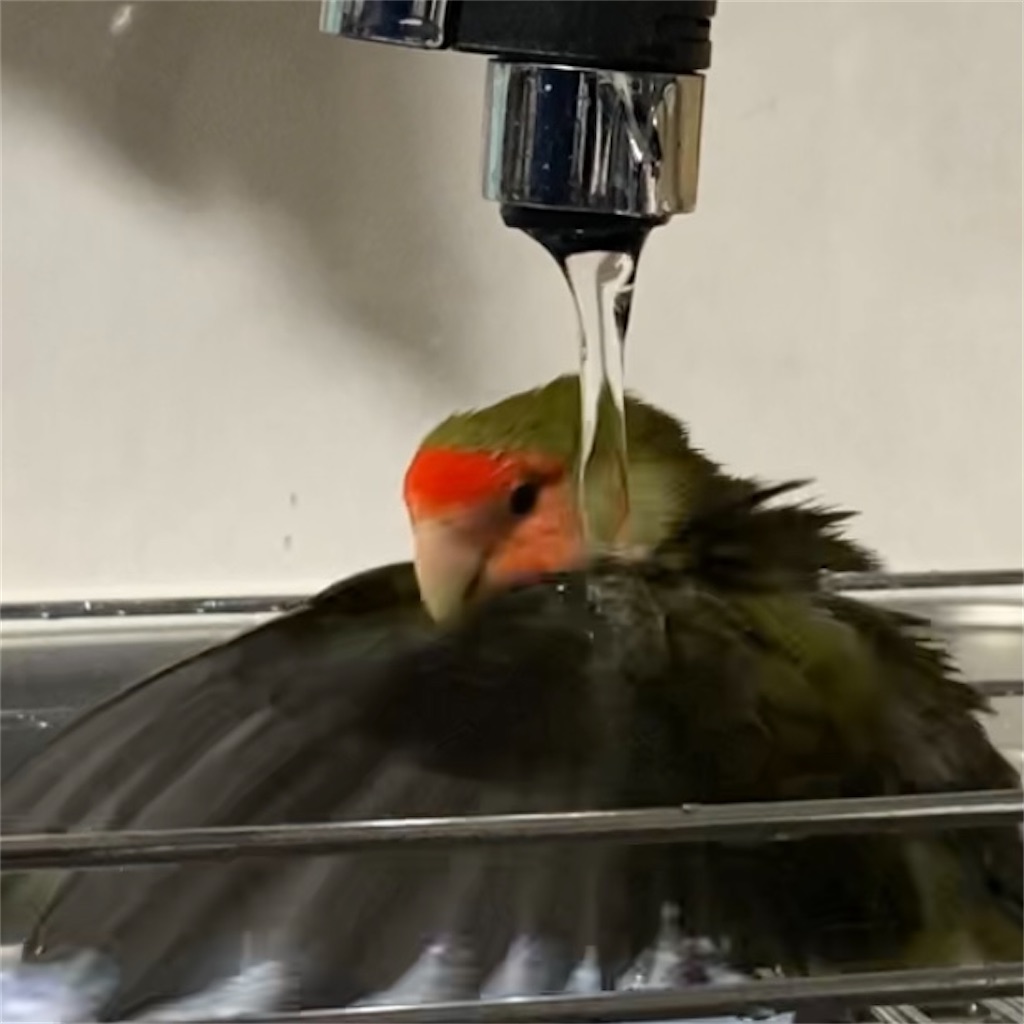 f:id:aufheben1007:20220321181632j:image