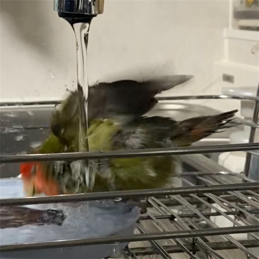 f:id:aufheben1007:20220321181635j:image