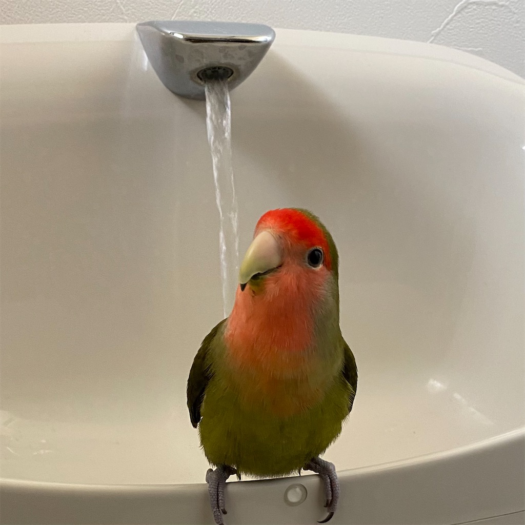 f:id:aufheben1007:20220321181641j:image