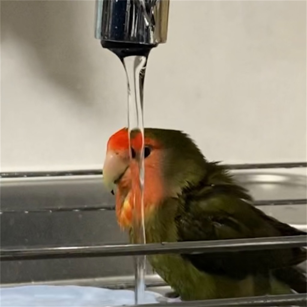 f:id:aufheben1007:20220321184548j:image