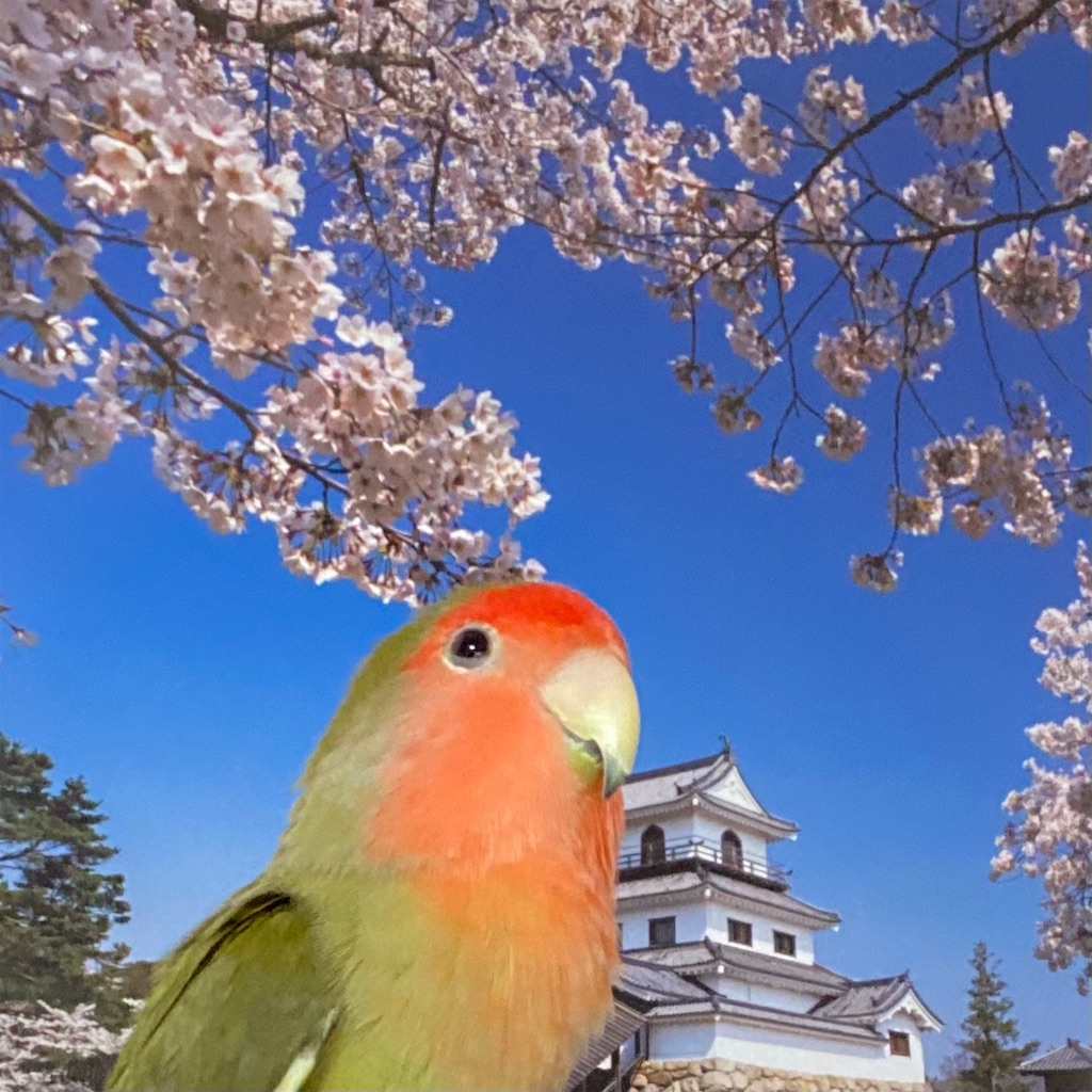 f:id:aufheben1007:20220324082954j:image