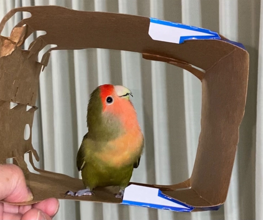 f:id:aufheben1007:20220830224500j:image