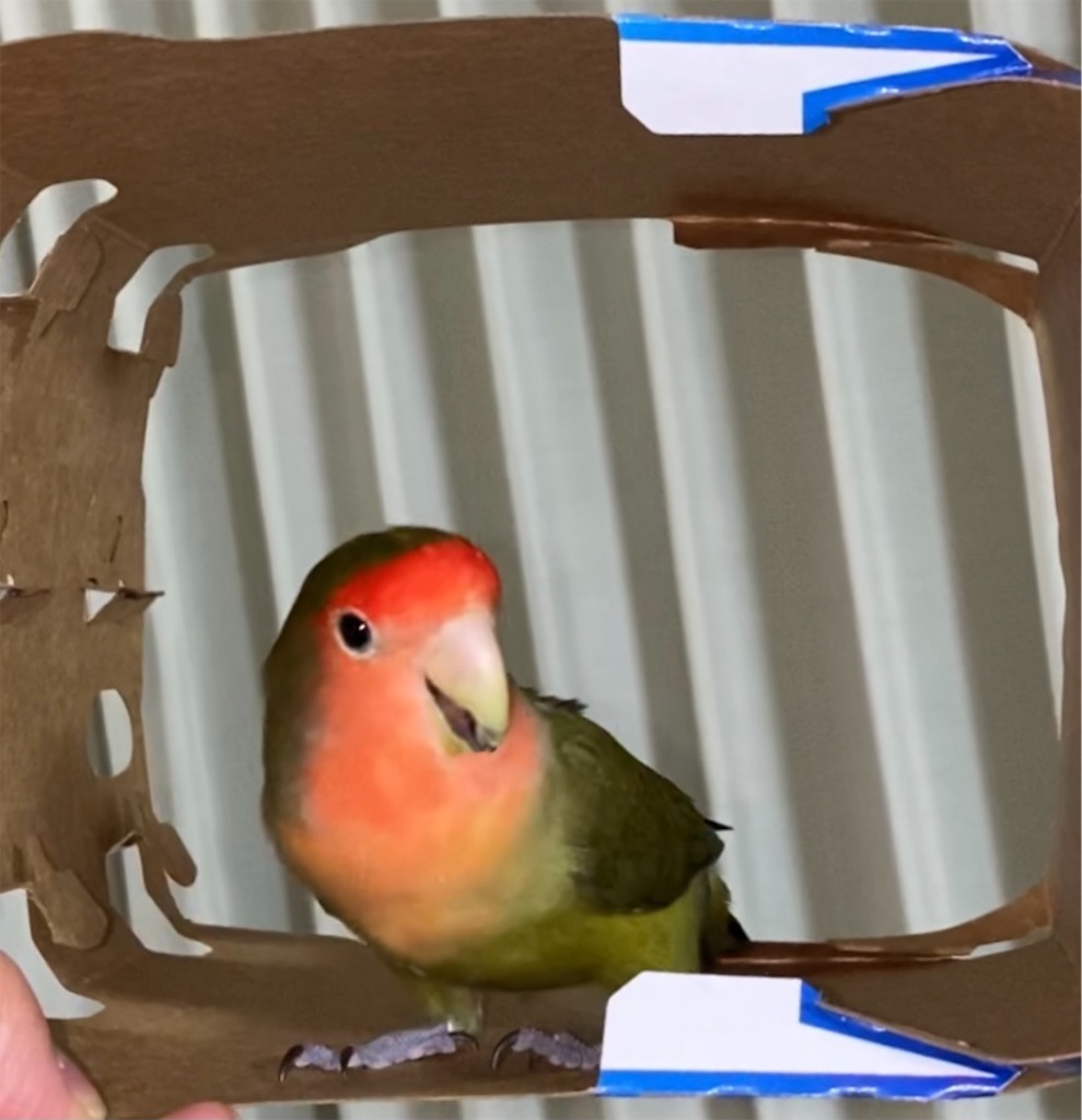 f:id:aufheben1007:20220830224503j:image