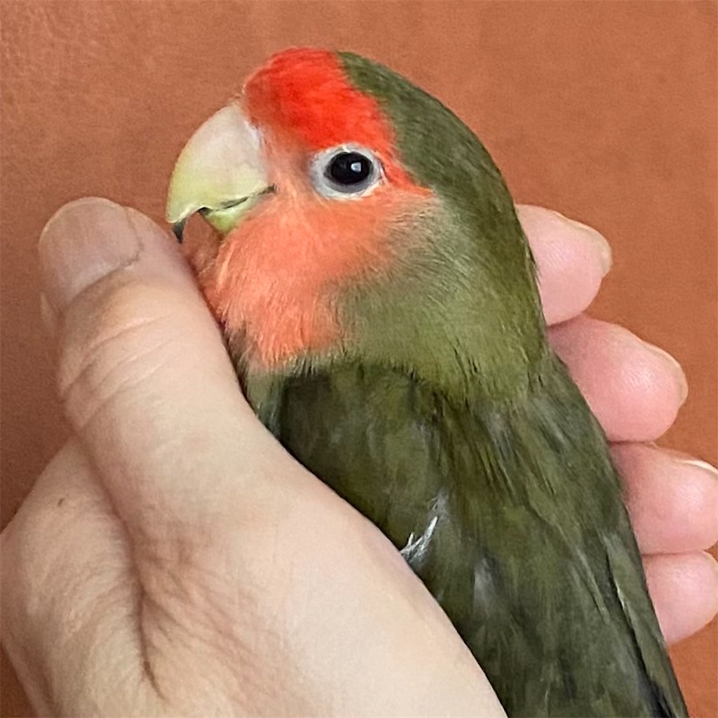 f:id:aufheben1007:20220830232926j:image