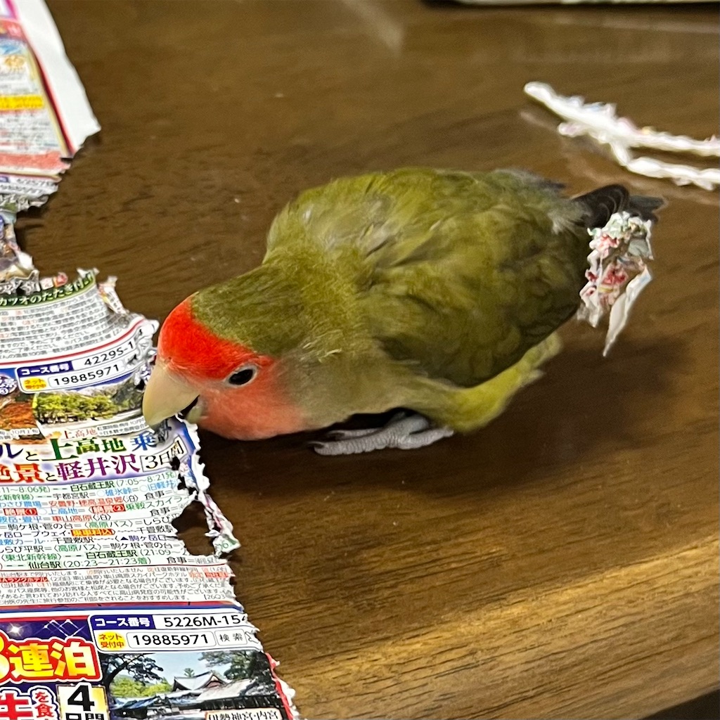 f:id:aufheben1007:20221027210407j:image