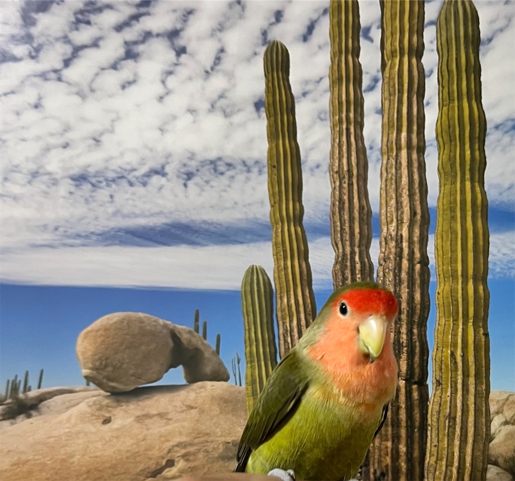 f:id:aufheben1007:20221210230700j:image