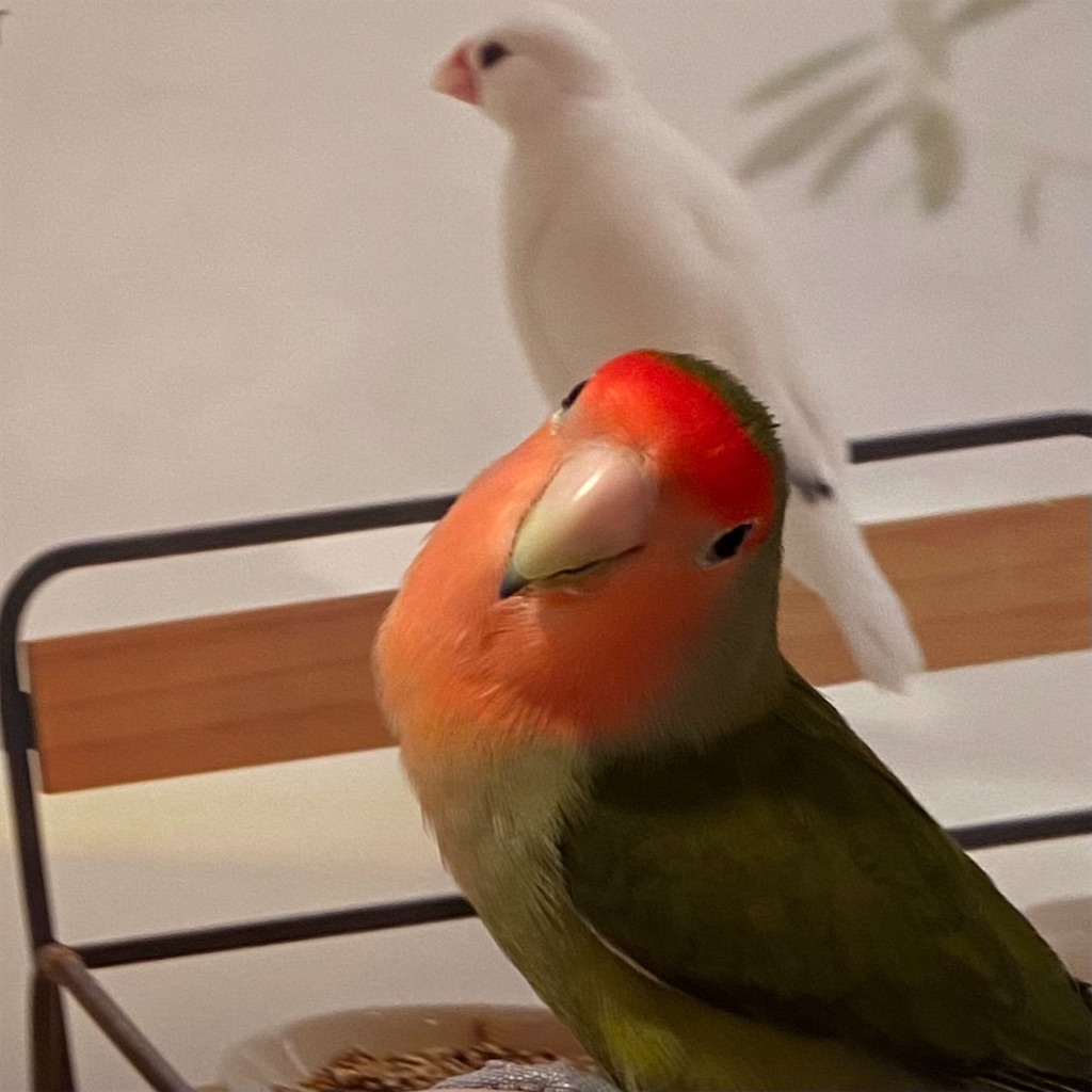にあういろ♪ - こはるンルン ♪日記