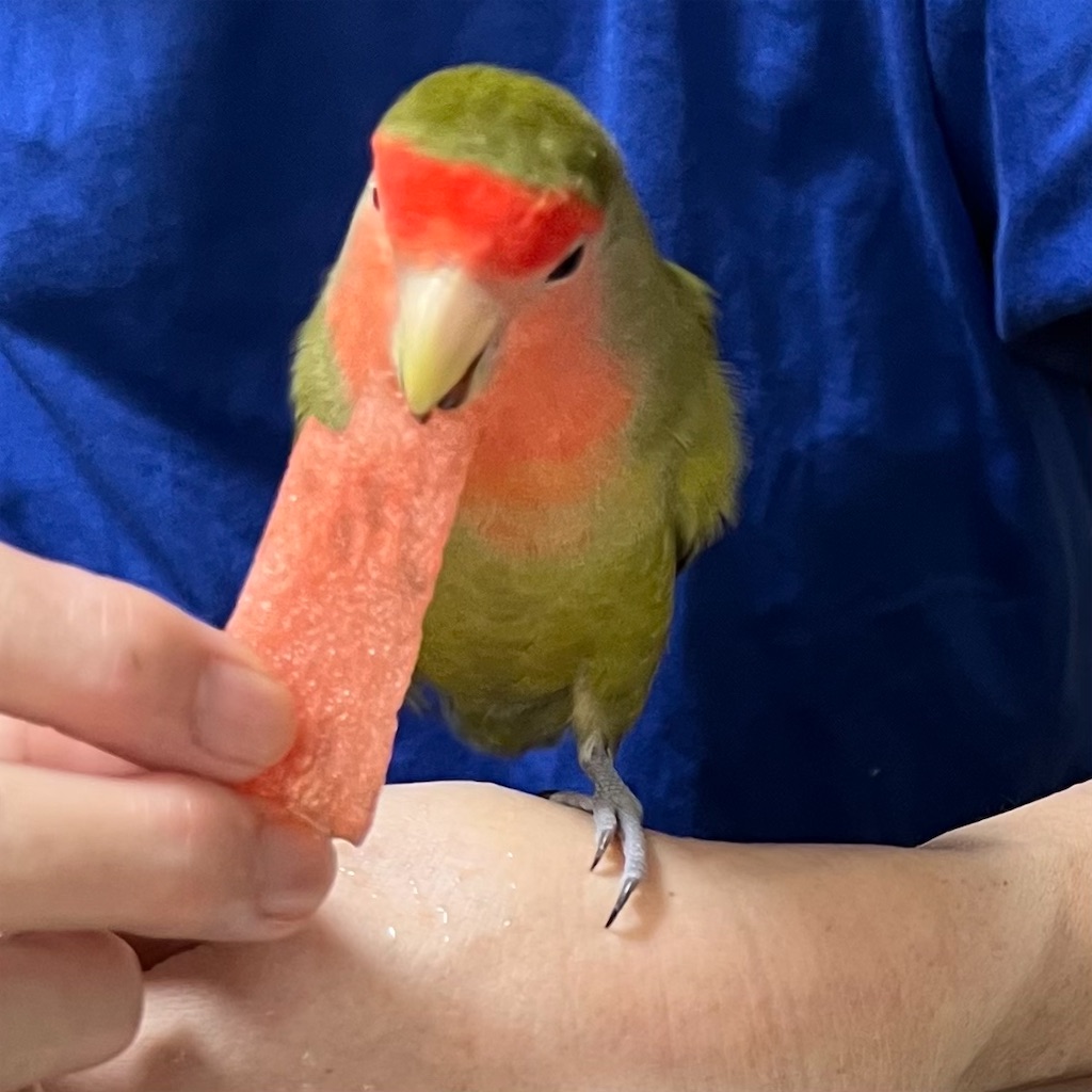 f:id:aufheben1007:20230819134031j:image