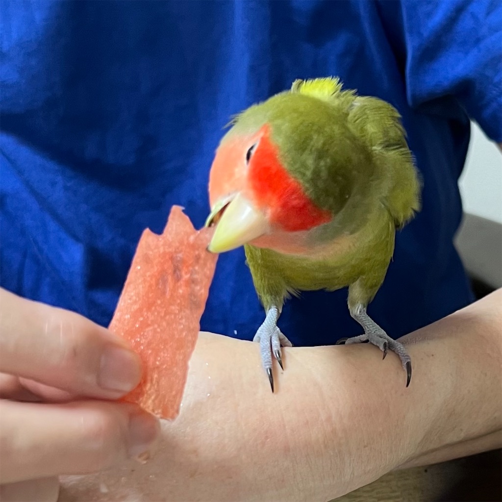 f:id:aufheben1007:20230819134040j:image