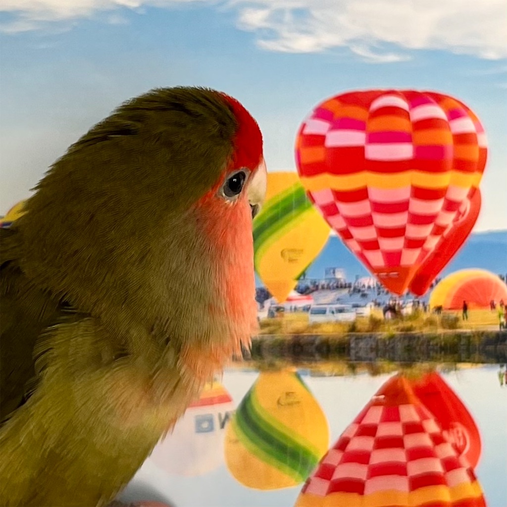 f:id:aufheben1007:20231022224510j:image