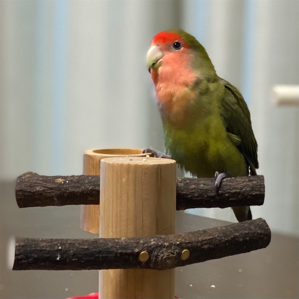 f:id:aufheben1007:20231028132318j:image