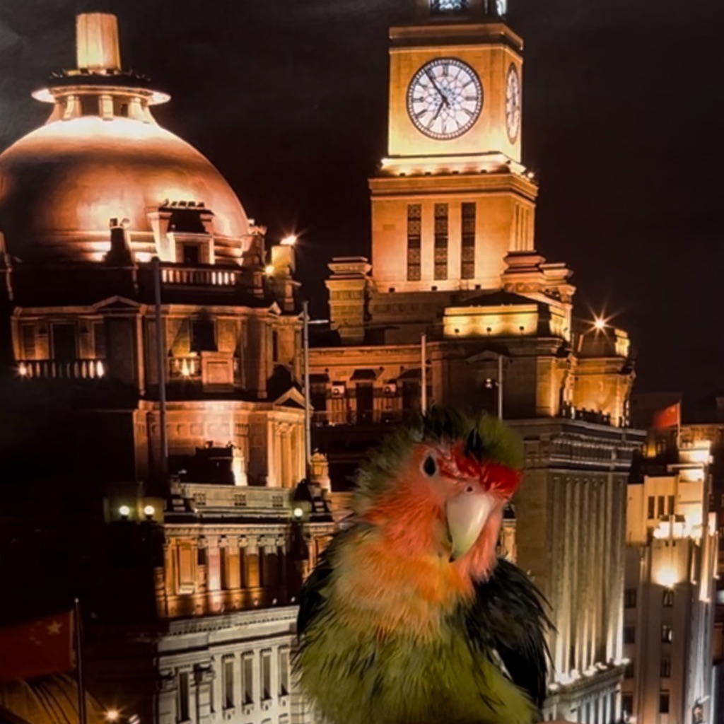 f:id:aufheben1007:20231103182434j:image