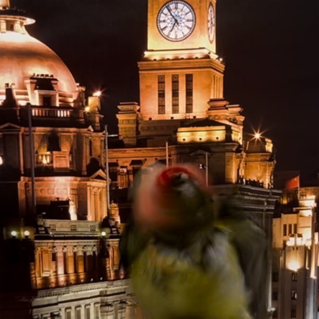 f:id:aufheben1007:20231103190127j:image