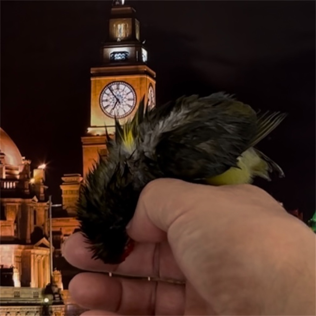 f:id:aufheben1007:20231103190854j:image