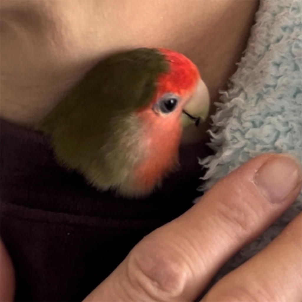 f:id:aufheben1007:20231229214423j:image