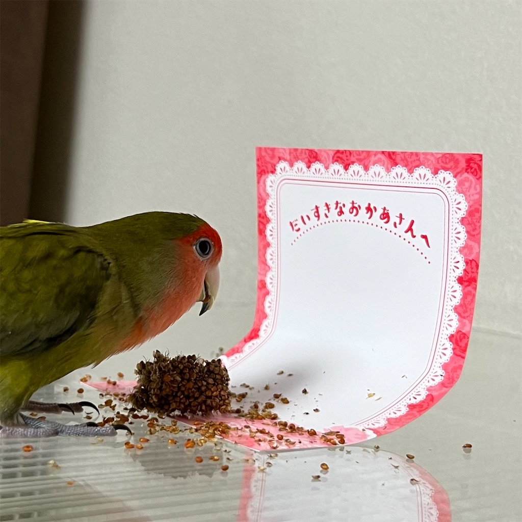 f:id:aufheben1007:20240513170725j:image f:id:aufheben1007:20240513170725j:image