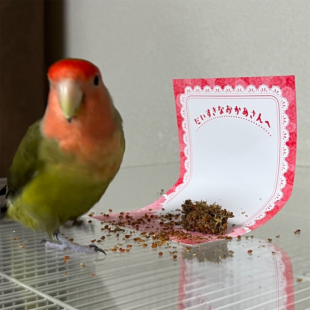 f:id:aufheben1007:20240513170728j:image f:id:aufheben1007:20240513170728j:image