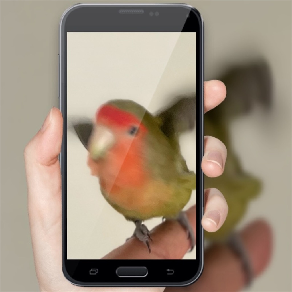 f:id:aufheben1007:20240520115304j:image