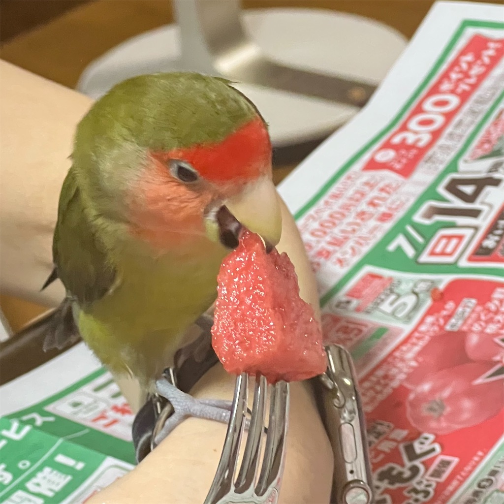 f:id:aufheben1007:20240714100355j:image