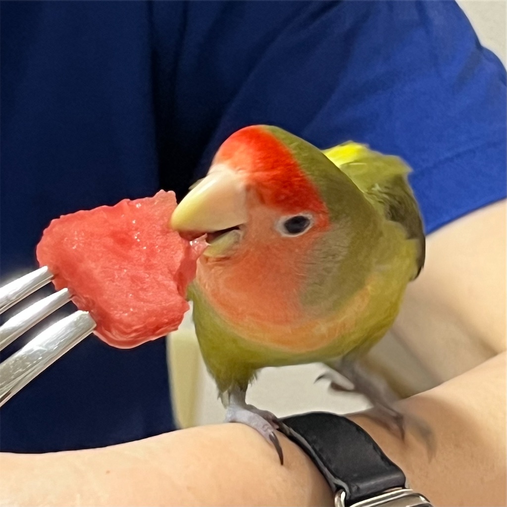 f:id:aufheben1007:20240714100401j:image