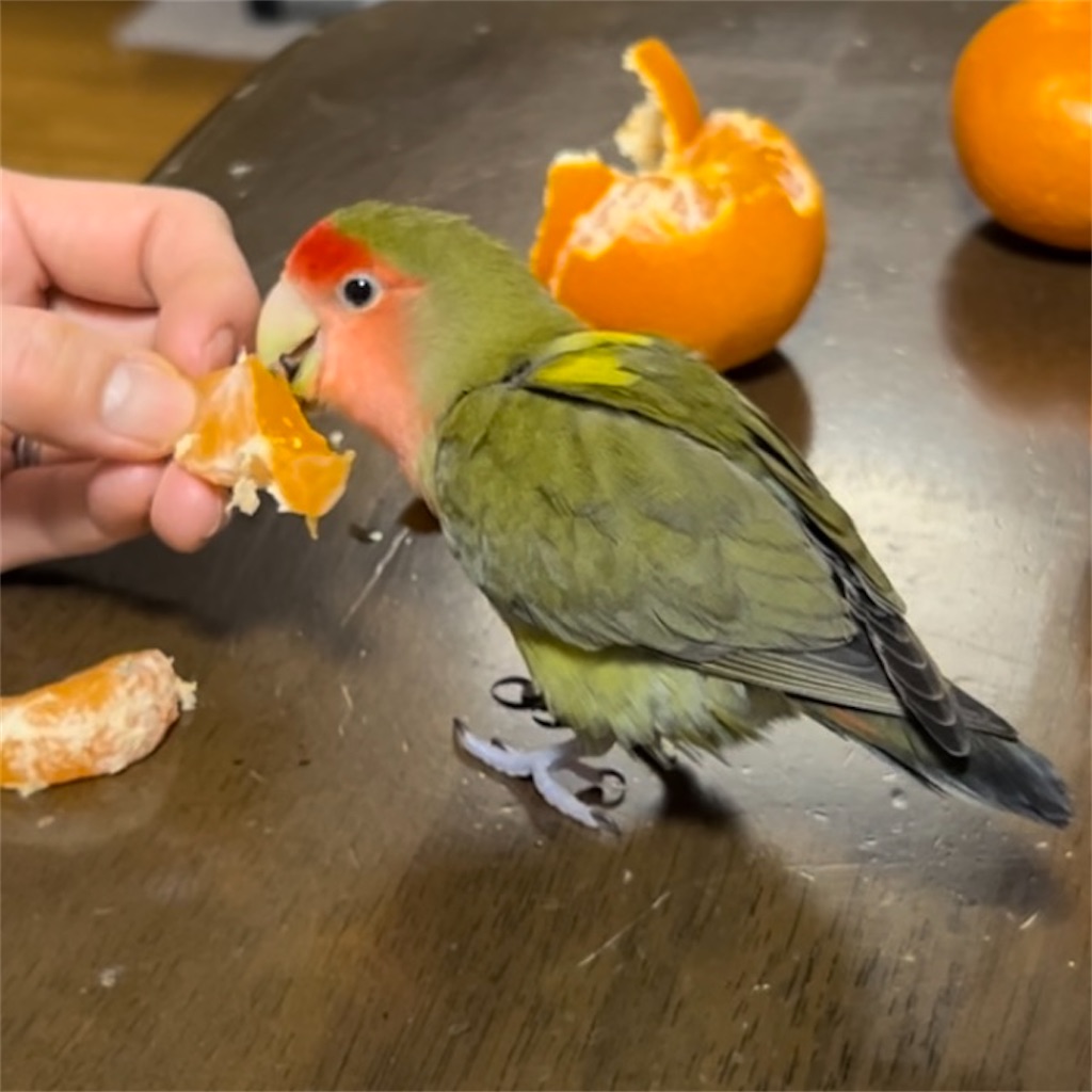 f:id:aufheben1007:20240831131452j:image