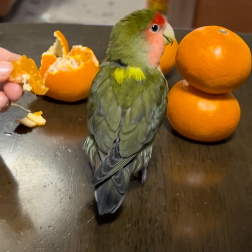 f:id:aufheben1007:20240831131454j:image