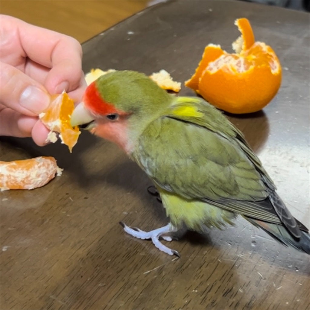 f:id:aufheben1007:20240831131456j:image