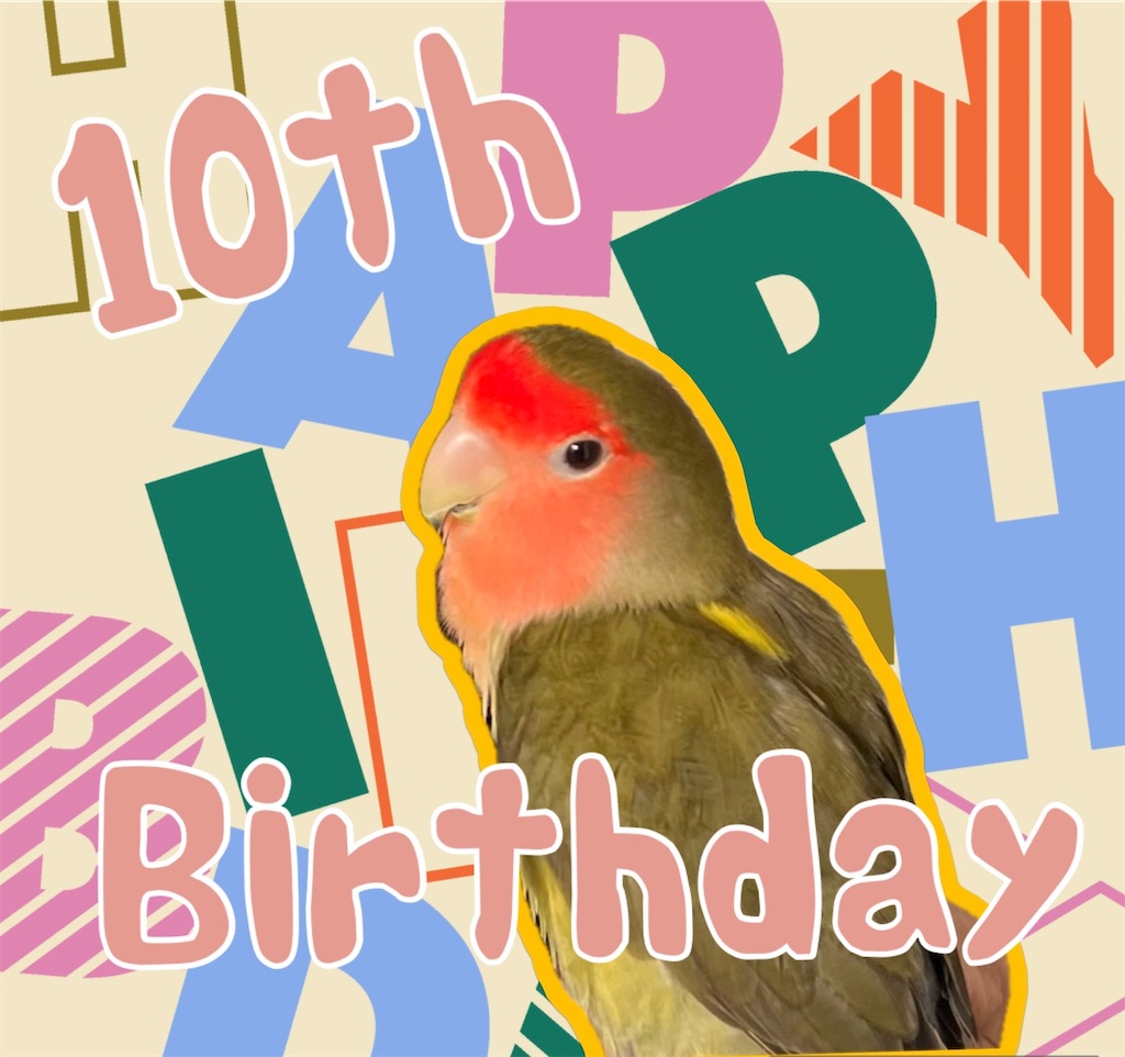 f:id:aufheben1007:20241014122550j:image f:id:aufheben1007:20241014122550j:image