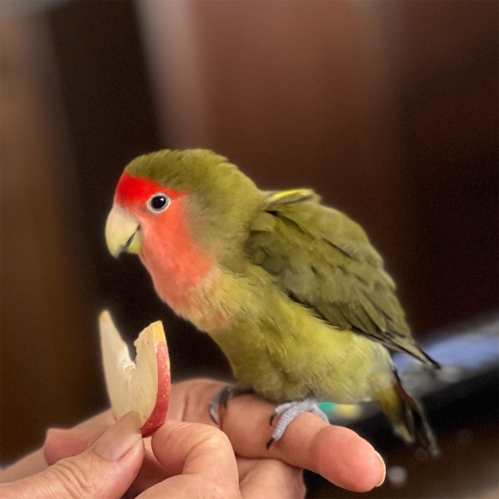 f:id:aufheben1007:20241014123641j:image f:id:aufheben1007:20241014123641j:image