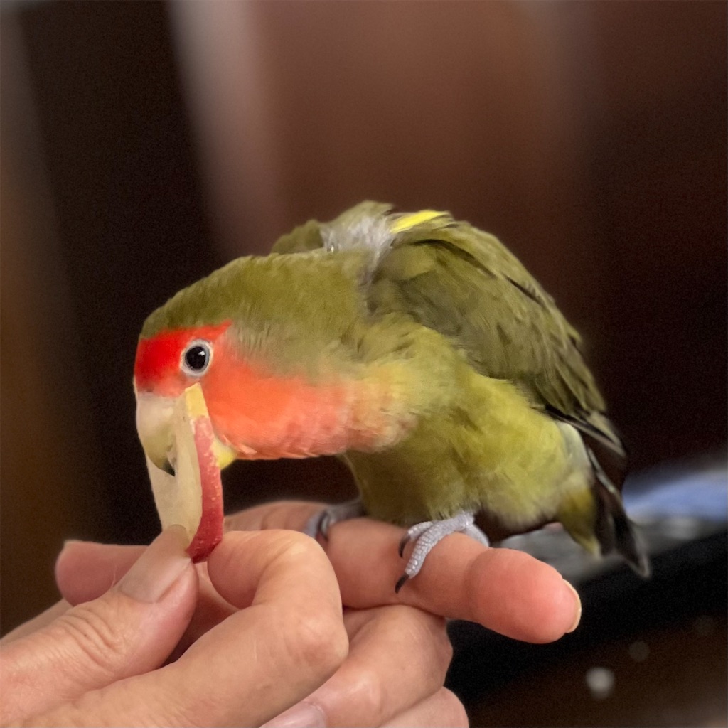 f:id:aufheben1007:20241014123907j:image f:id:aufheben1007:20241014123907j:image