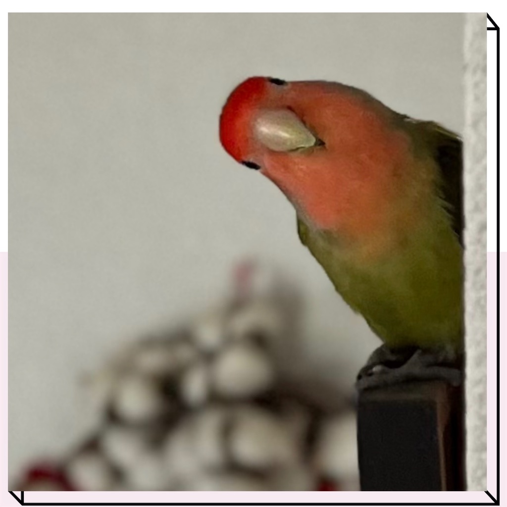 f:id:aufheben1007:20241014124851j:image f:id:aufheben1007:20241014124851j:image