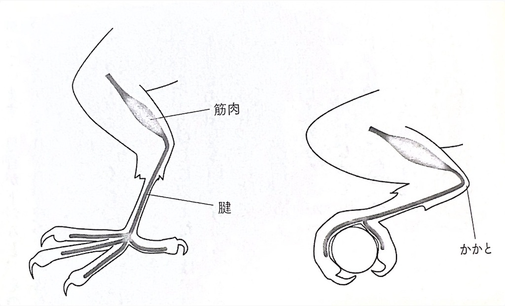 f:id:aufheben1007:20241217100314j:image