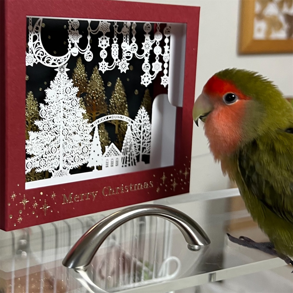 f:id:aufheben1007:20241224123659j:image