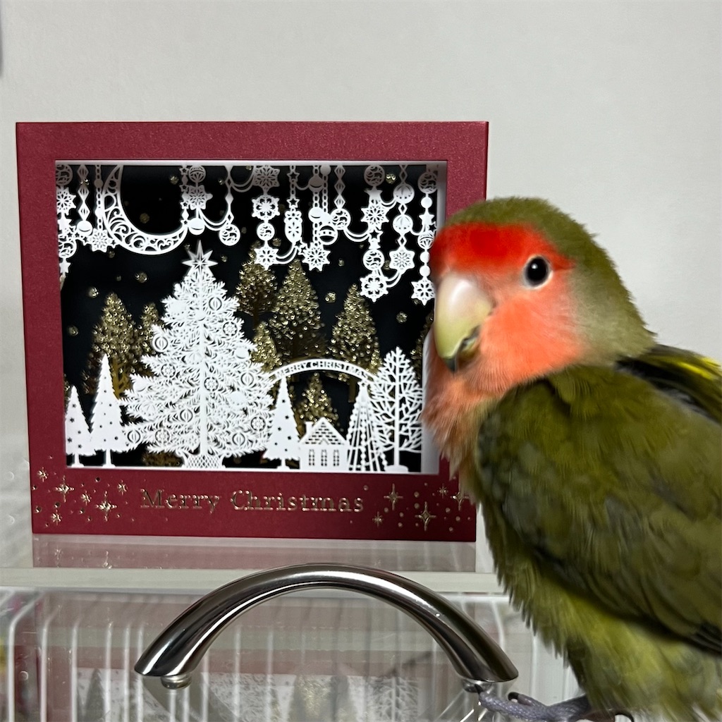 f:id:aufheben1007:20241224123703j:image