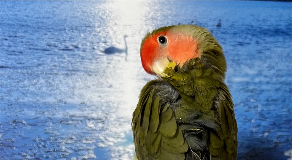 f:id:aufheben1007:20250608231651j:image