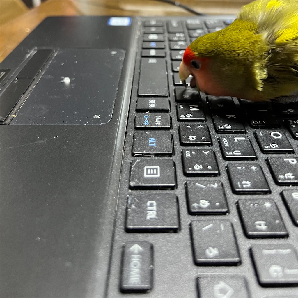 f:id:aufheben1007:20251210181318j:image f:id:aufheben1007:20251210181318j:image