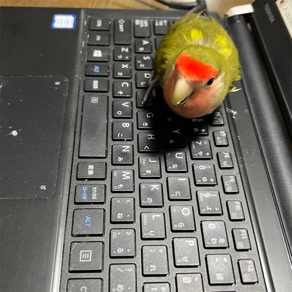 f:id:aufheben1007:20251210181321j:image f:id:aufheben1007:20251210181321j:image