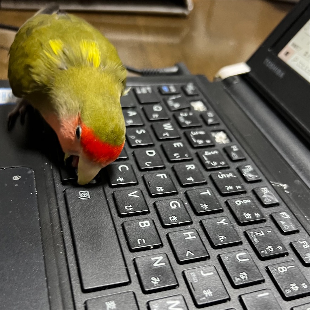 f:id:aufheben1007:20251210181329j:image f:id:aufheben1007:20251210181329j:image