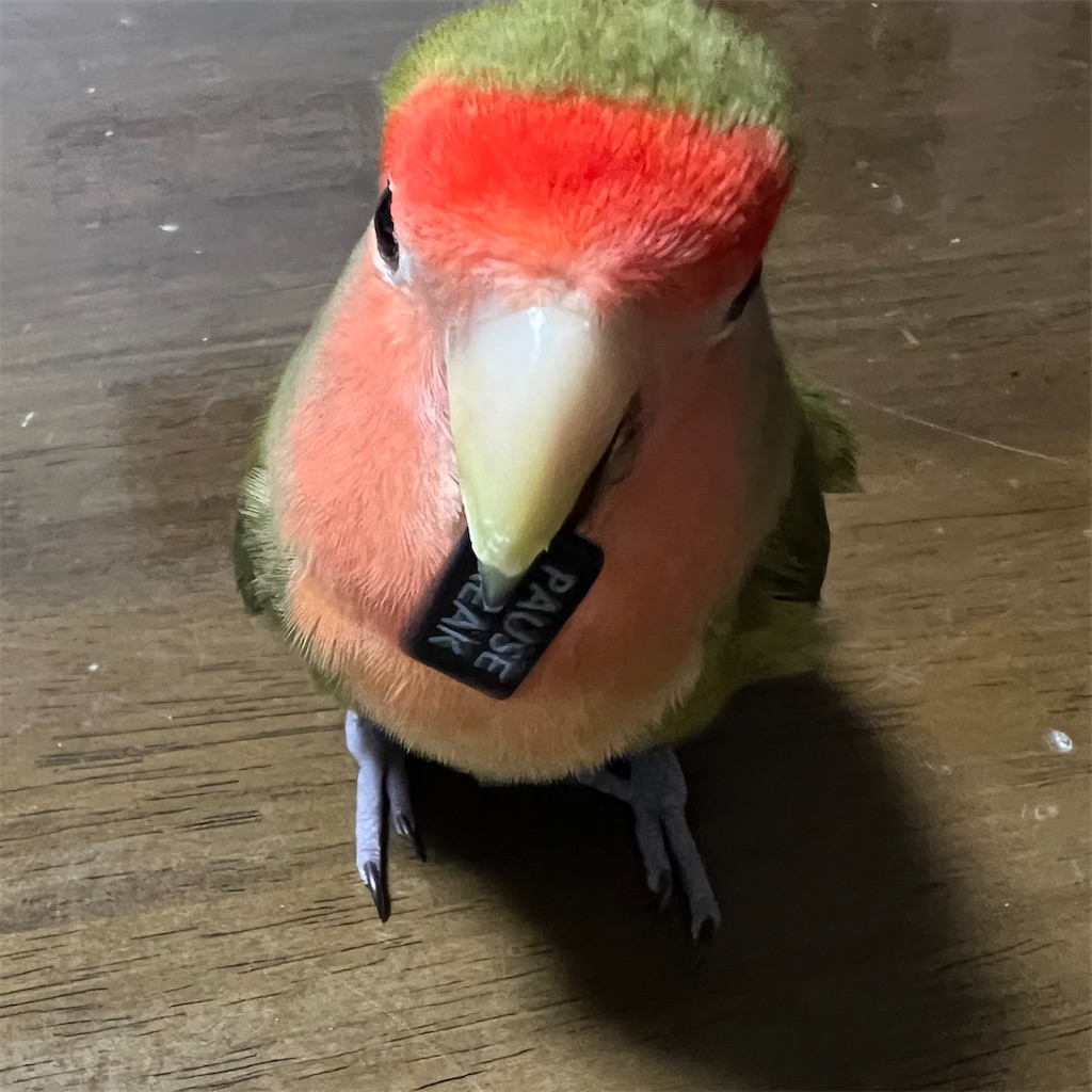 f:id:aufheben1007:20251210181333j:image f:id:aufheben1007:20251210181333j:image