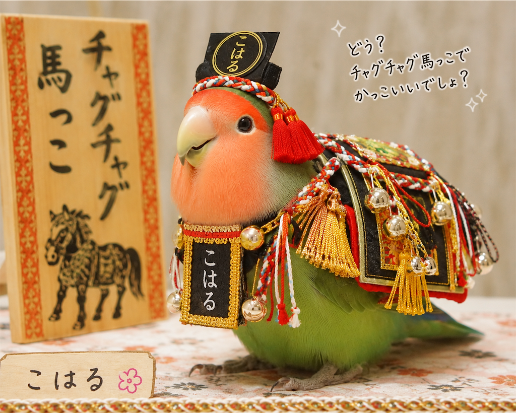f:id:aufheben1007:20260613212550p:image f:id:aufheben1007:20260613212550p:image