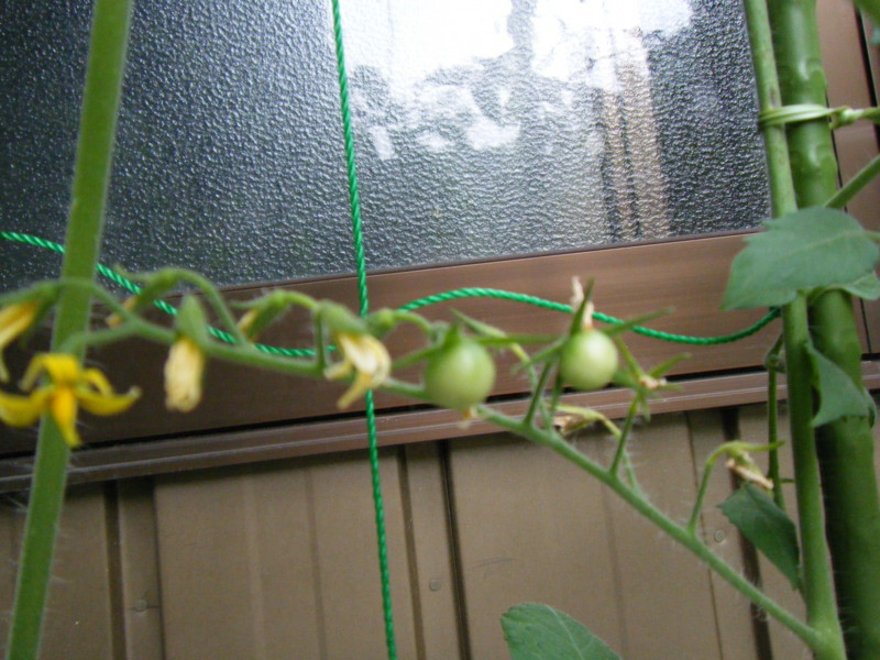 f:id:augs:20120811204150j:image:w360