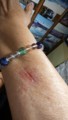 f:id:augs:20171205195808j:image:medium
