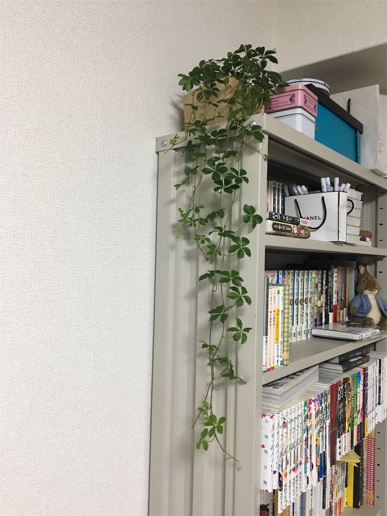 f:id:aunnoharu:20181113225019j:image f:id:aunnoharu:20181113225019j:image