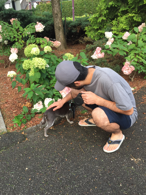 f:id:auntie_K:20170901003633p:plain