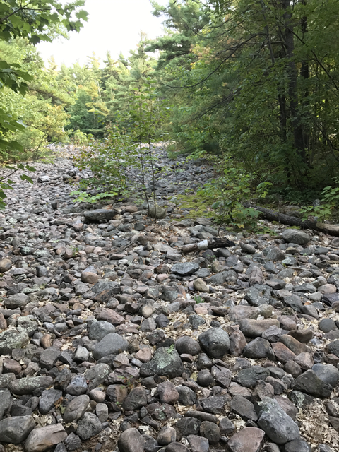 f:id:auntie_K:20170919052458p:plain