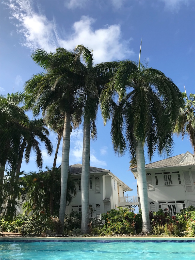 f:id:auntie_K:20180223094544j:image