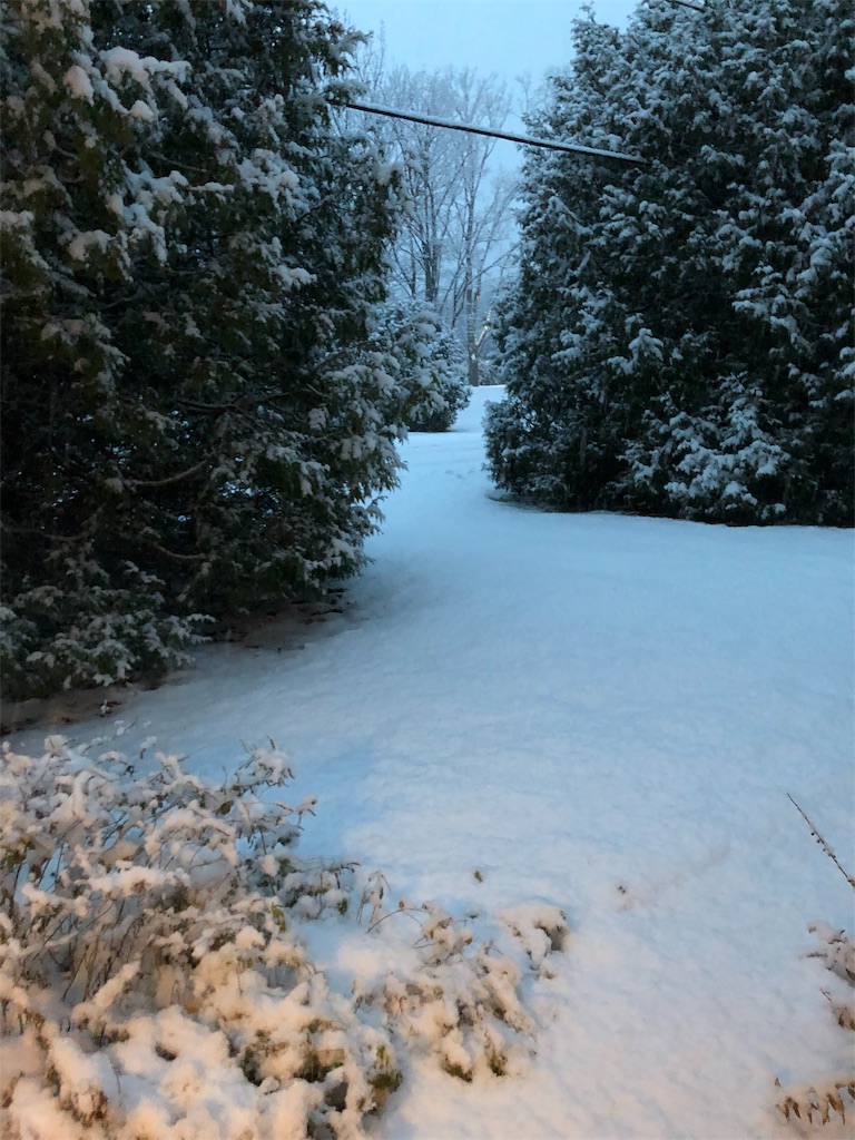 f:id:auntie_K:20181113205845j:image