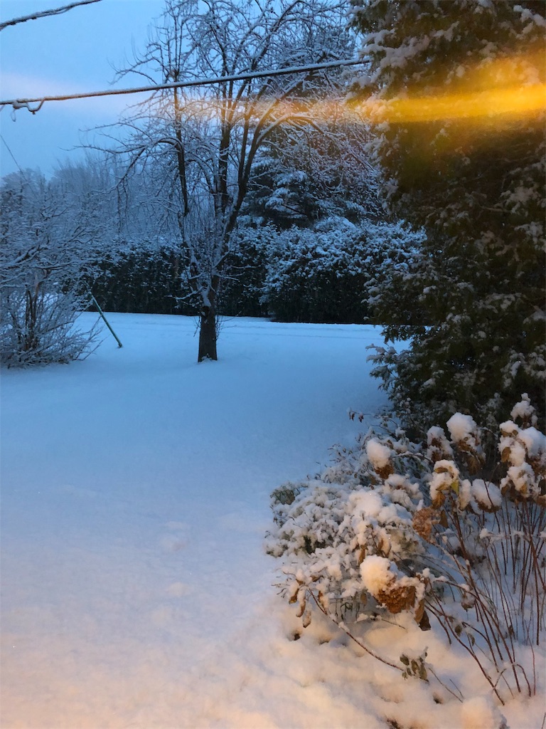 f:id:auntie_K:20181113205902j:image