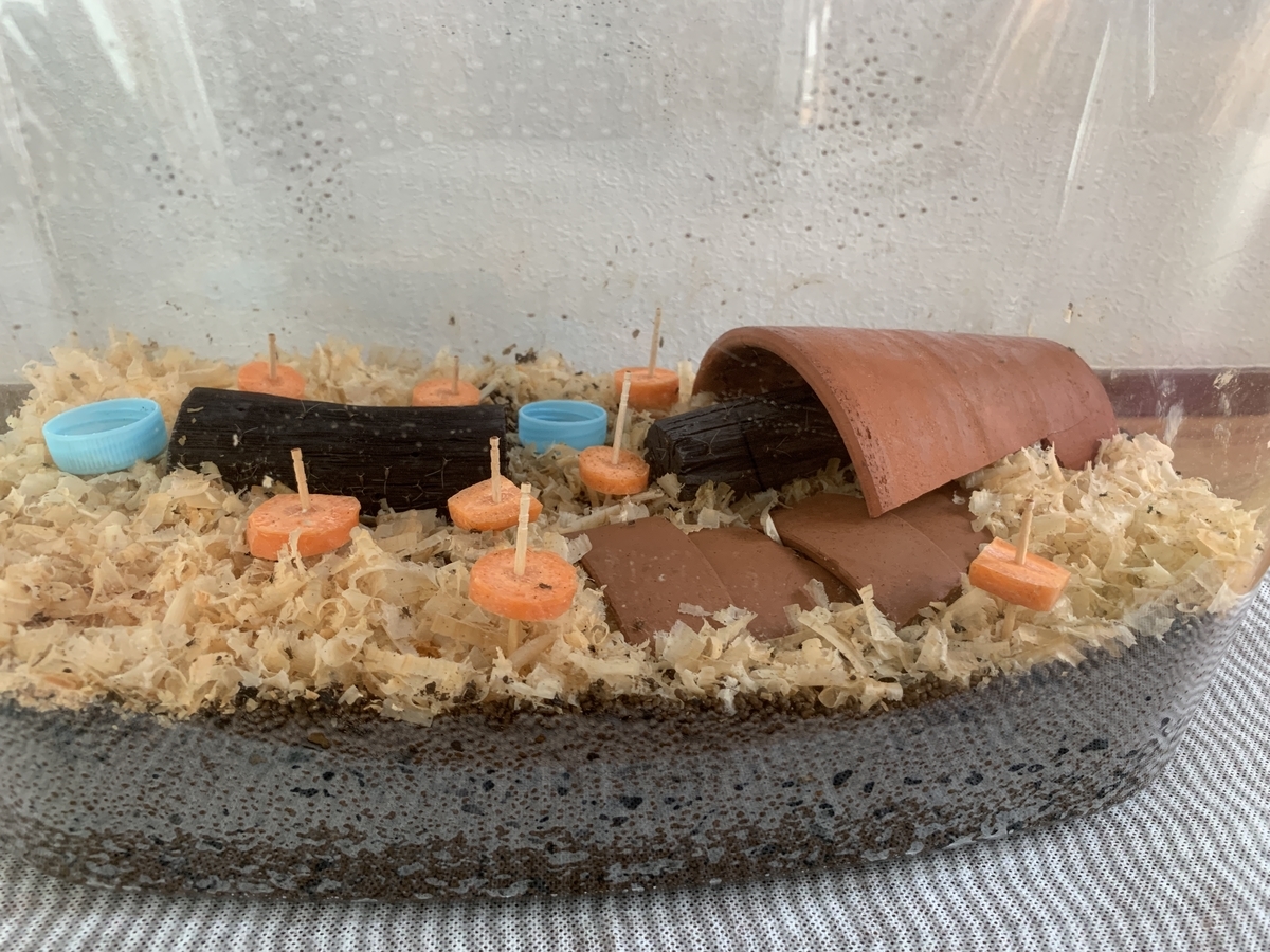 マルカン 鈴虫のエサ 徳用