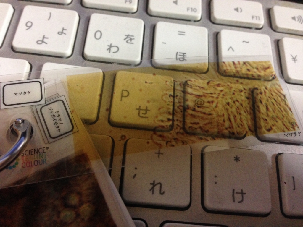 f:id:auraclover:20180307200114j:plain